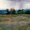 La Ceiba - Imagen 4